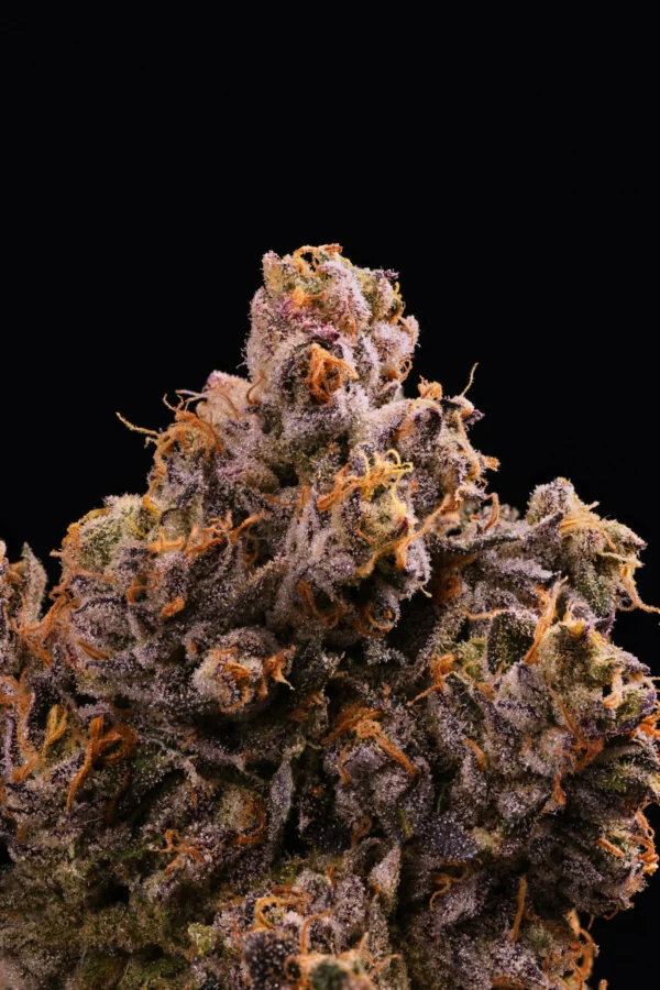 Mean Streaks – Seed Junky Genetics