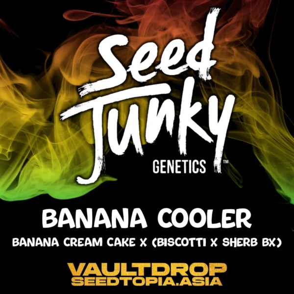 Banana Cooler – Seed Junky Genetics