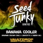 Banana Cooler – Seed Junky Genetics