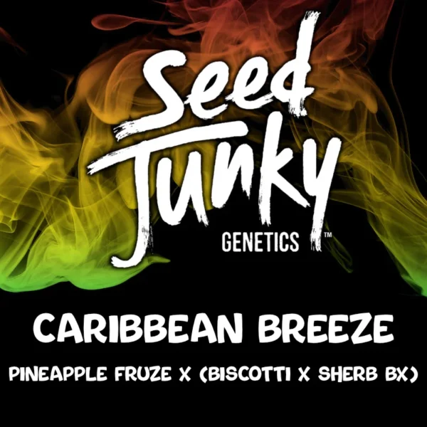 Caribbean Breeze – Seed Junky Genetics