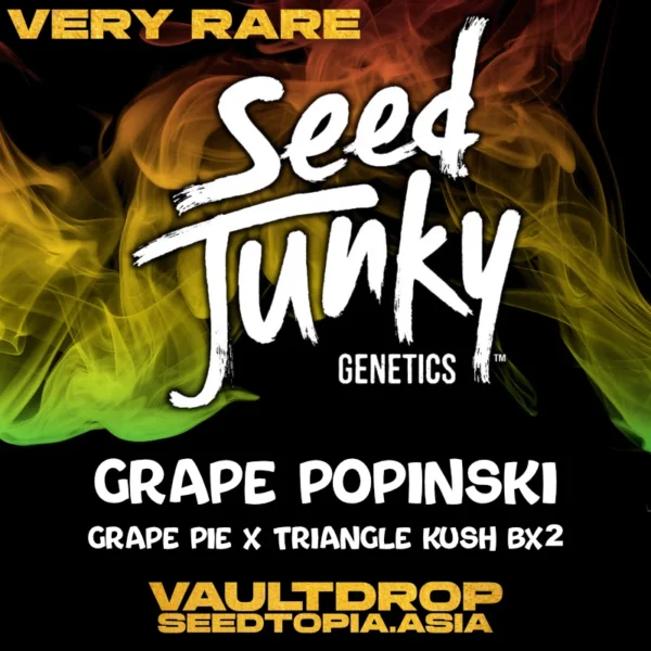 Grape Popinski – Seed Junky Genetics