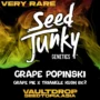 Grape Popinski – Seed Junky Genetics