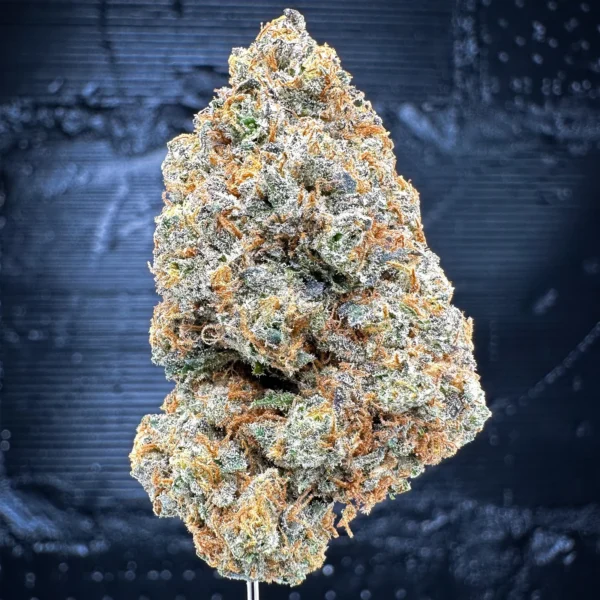 Orange Push Pop – Seed Junky Genetics