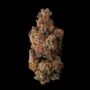 Permanent Gas – Seed Junky Genetics