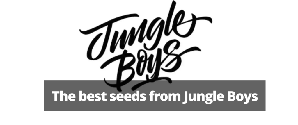 Buy Jungle Boys Seeds - Premium Cannabis Seeds