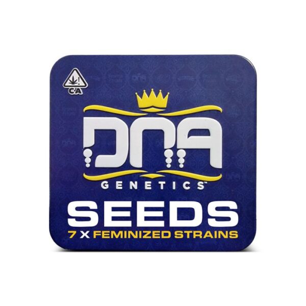 The Return of Chocolope Collectors Pack DNA Genetics Feminized Seeds