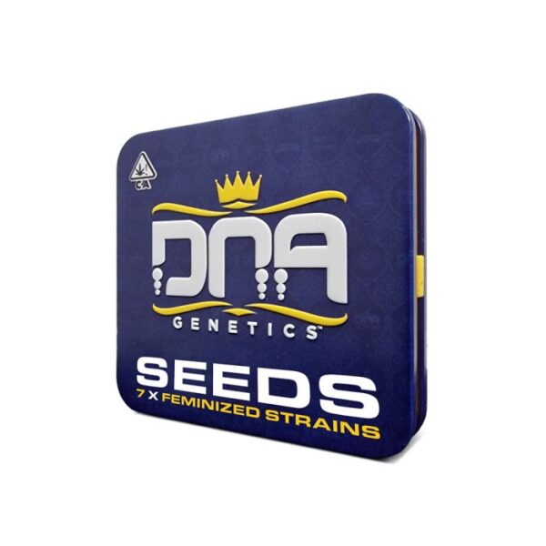 The Return of Chocolope Collectors Pack DNA Genetics Feminized Seeds