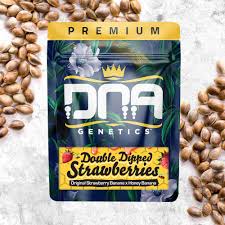 Buy DNA Genetics Cannabis Seeds