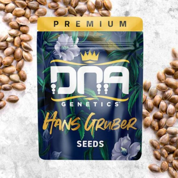 Hans Gruber Feminized Cannabis Seeds DNA Genetics