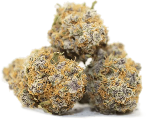 Lemon Pound Cake Feminized Cannabis Seeds