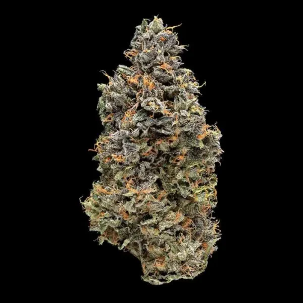 Blueberry Maraschino Cannabis Seeds (feminized)